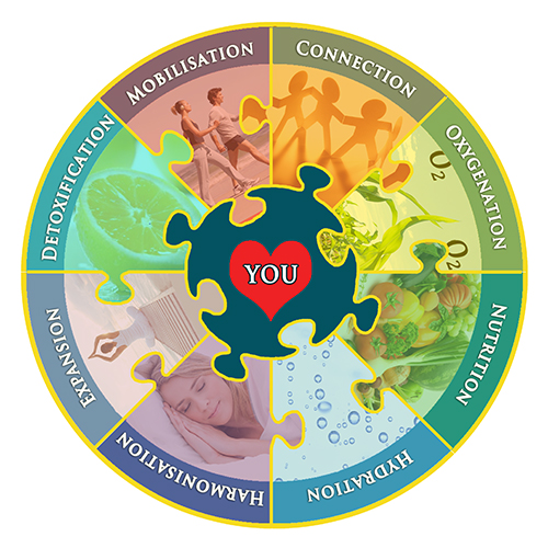 Optimum Health Jigsaw - developed by Dr Claire Bowen BM BS